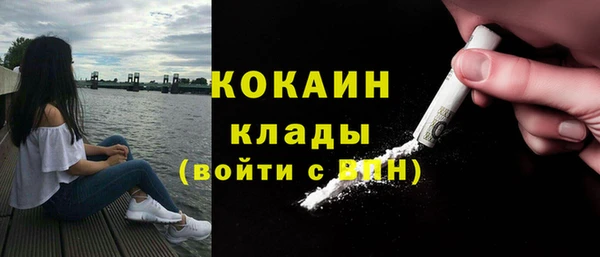 шишки Осинники