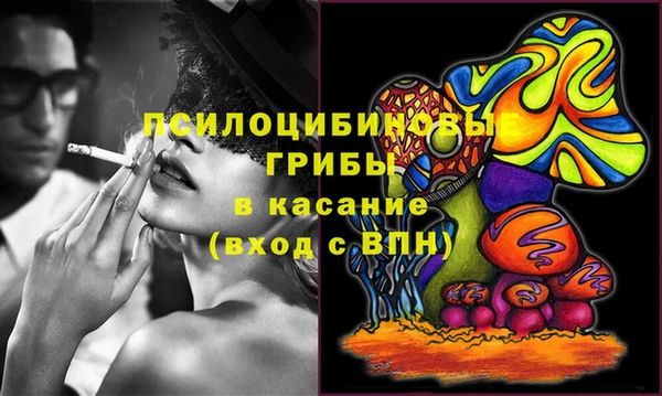 шишки Осинники
