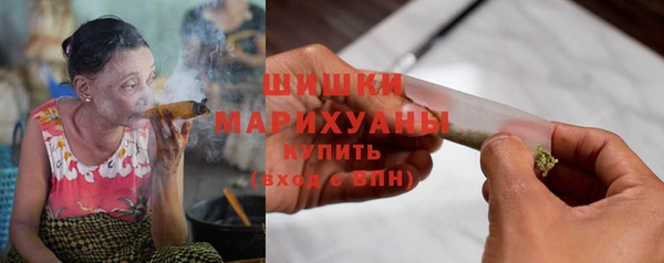 шишки Осинники