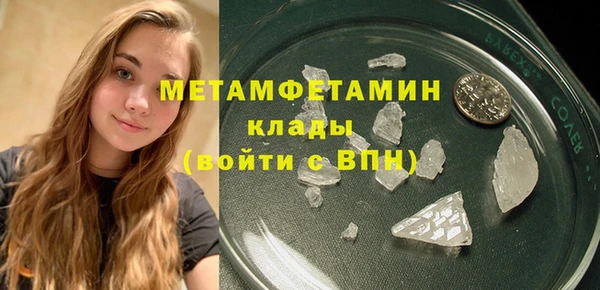 шишки Осинники