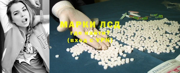 шишки Осинники