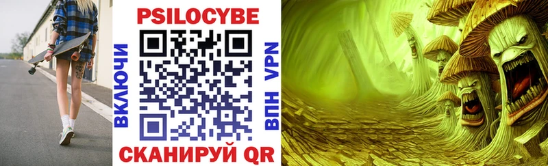 Псилоцибиновые грибы GOLDEN TEACHER  Нальчик 