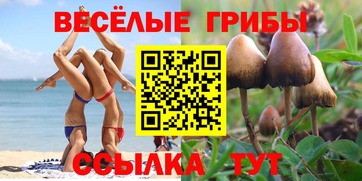 Галлюциногенные грибы прущие грибы Нальчик