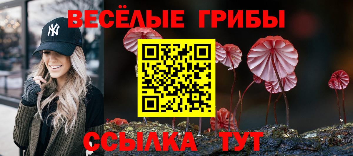 хочу   Вход с VPN  Нальчик  Псилоцибиновые грибы Psilocybine cubensis 