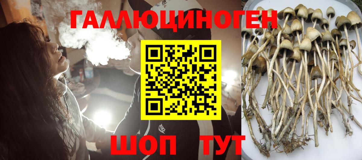 Продажа наркотиков  A-PVP СК кристаллы  Экстази  Нальчик  COCAIN  ГАШ  Конопля  Вход с VPN  Меф МЯУ МЯУ  